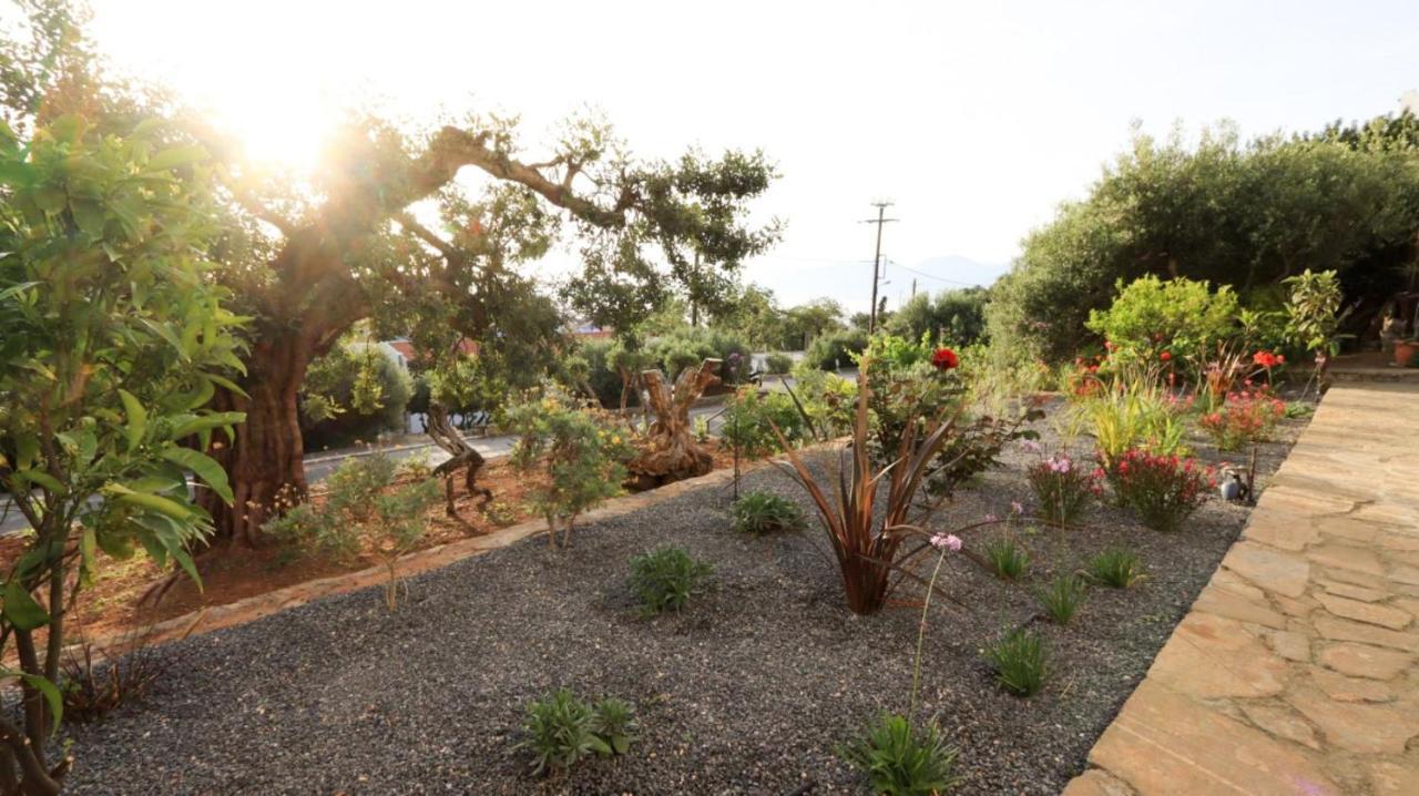 Comfortable Apartment With Garden - Casa Con Vista Havania Экстерьер фото