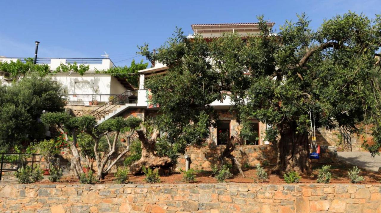 Comfortable Apartment With Garden - Casa Con Vista Havania Экстерьер фото
